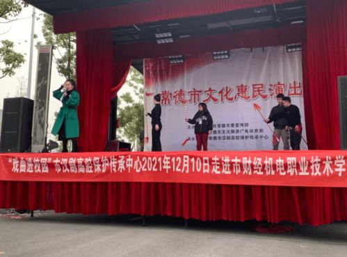 第二届文化艺术节 非遗文化走进常德财经机电职业技术学院